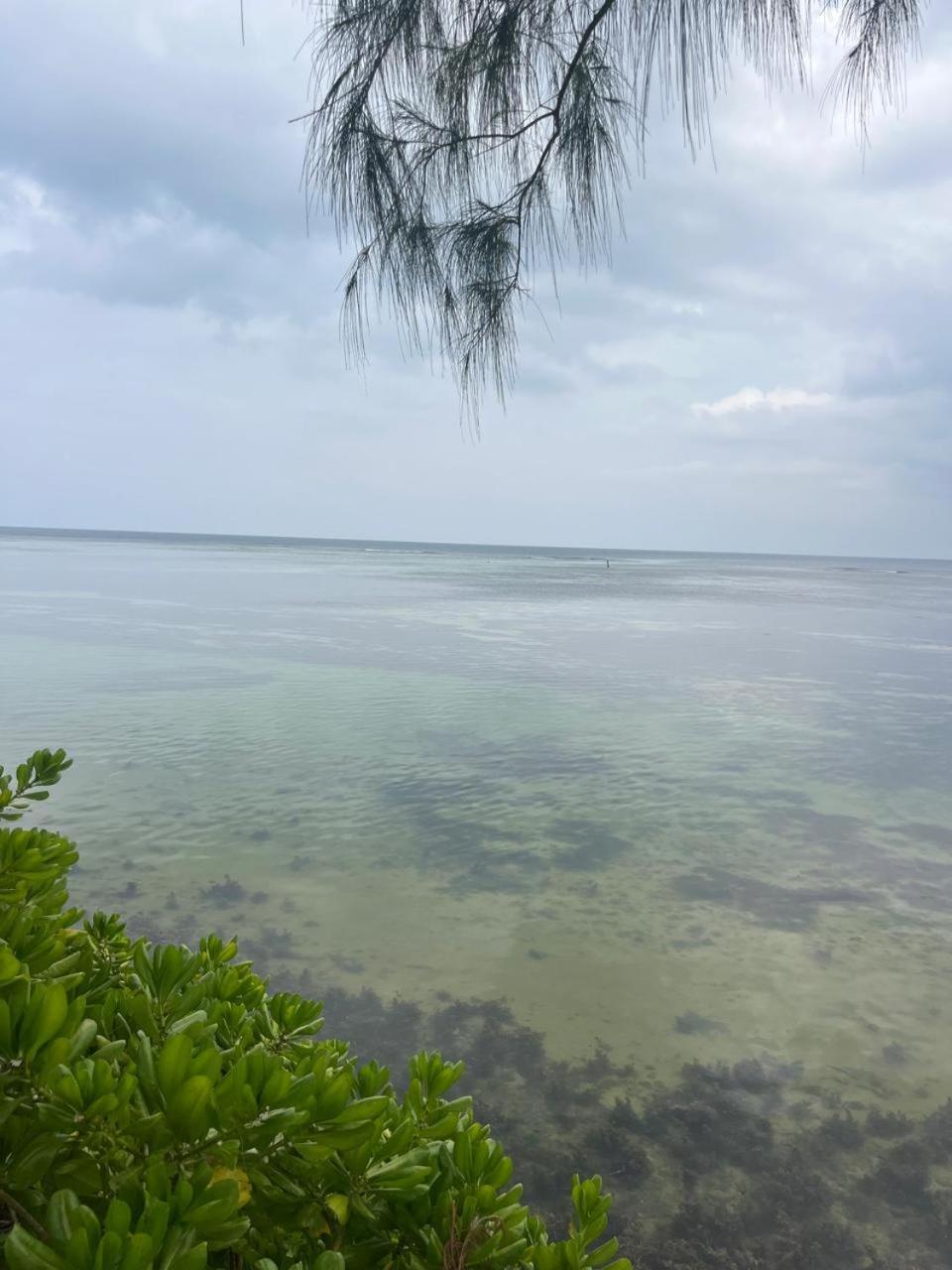 Le Chateau Bleu Anse aux Pins Exteriör bild